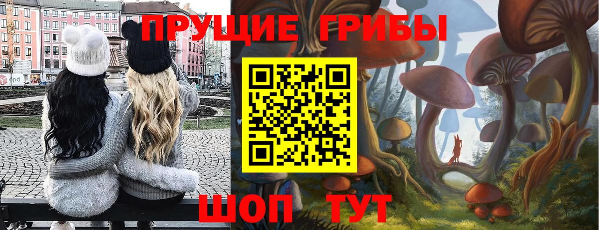 Псилоцибиновые грибы Psilocybe  Вход с VPN  Люберцы 