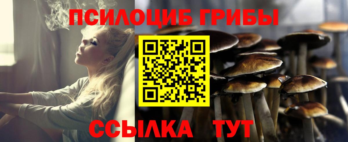 Галлюциногенные грибы Cubensis Люберцы